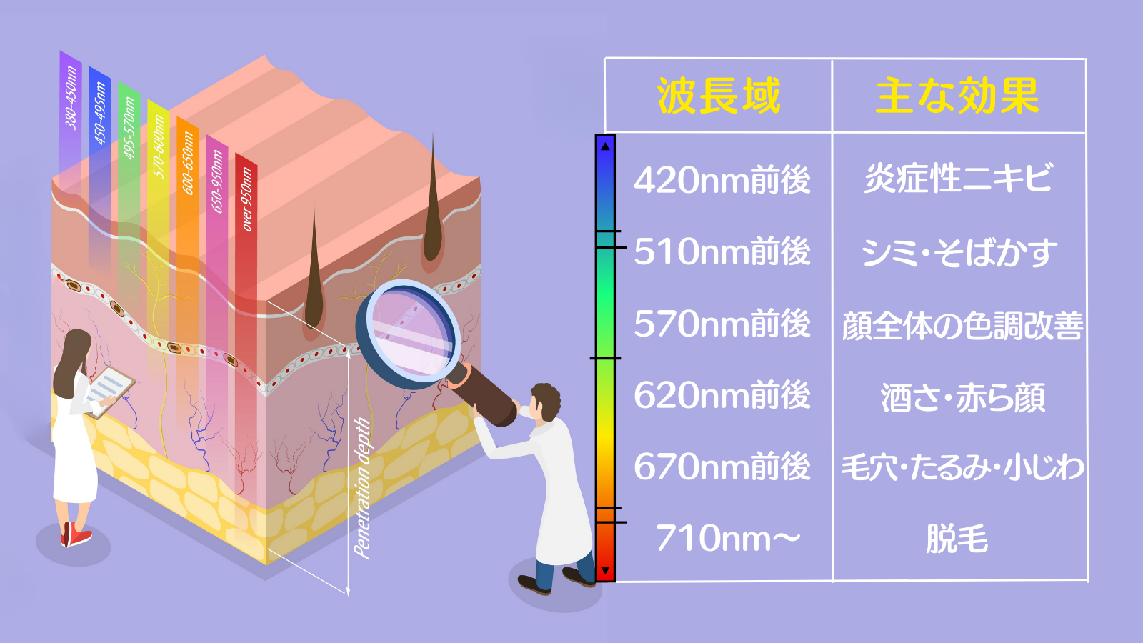 フォトフェイシャルは波長域によって効果が異なる