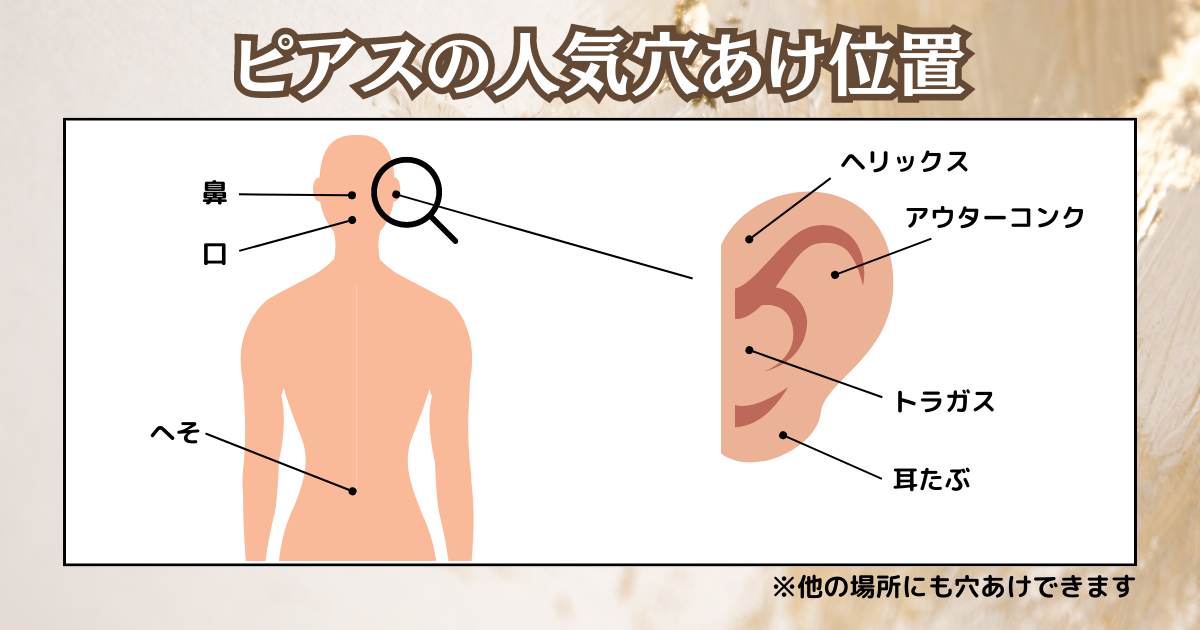 ピアスの人気穴あけ位置