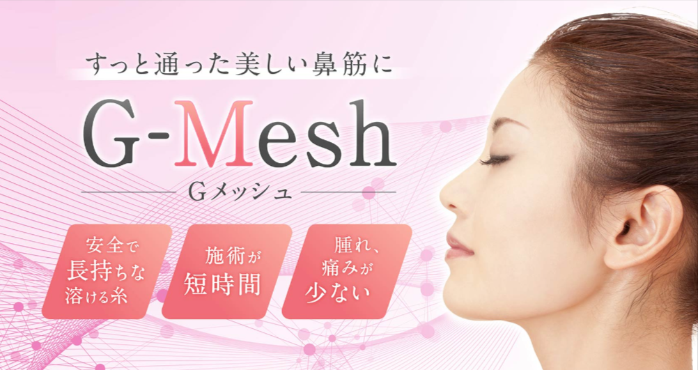 G-Mesh（Gメッシュ）